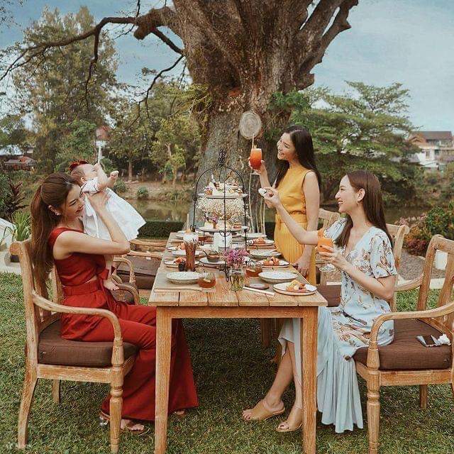 清迈下午茶派对