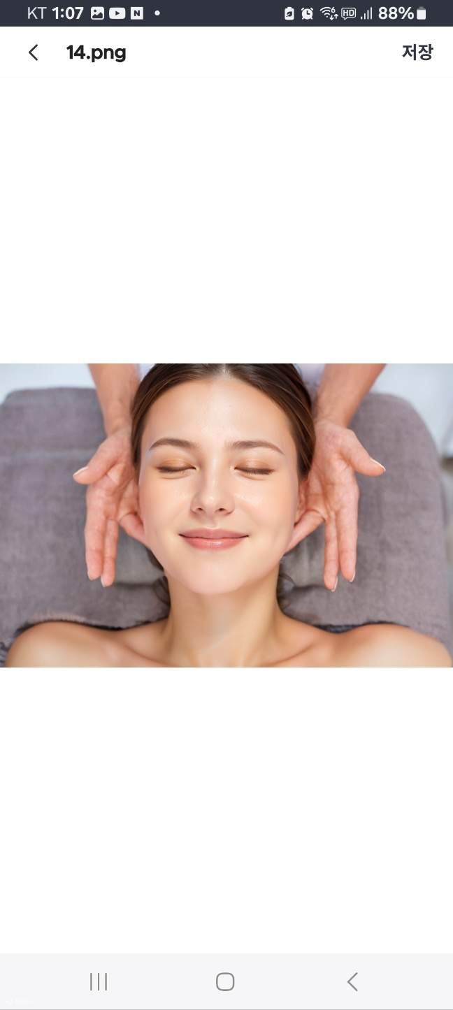 森の朝 (Morinoasa)