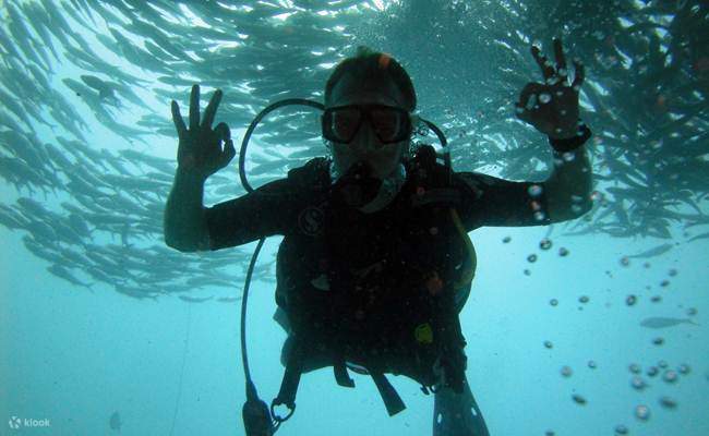 Ghi lại sự phấn khích của những thợ lặn chuyên nghiệp đang trau dồi kỹ năng của họ giữa hệ sinh thái biển sôi động của Semporna trong Khóa học Nâng cao của chúng tôi