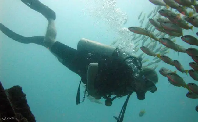 从完善浮力到导航复杂的潜水地点，我们在仙本那的高级课程将揭示深海的秘密。