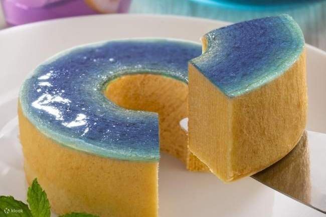 Billet d'embarquement pour le ferry de la baie de Suruga à Shizuoka [À pied]