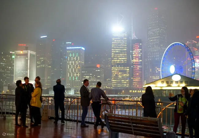 洋紫荆维港游