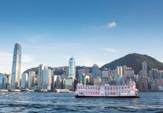 洋紫荆维港游