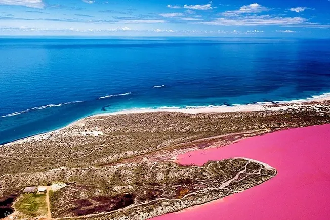 粉红湖 (Pink Lake)