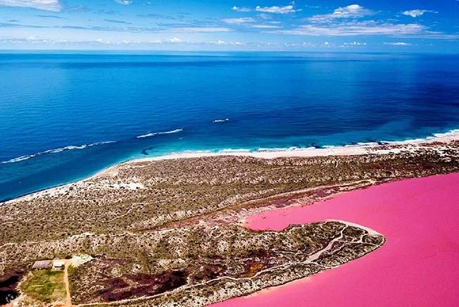 Lac Roz Experiență de zbor panoramic de la Geraldton la Lacul Roz Hutt Lagoon ...