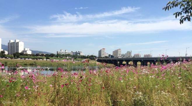 大邱・乗り降り自由オープントップバスツアー