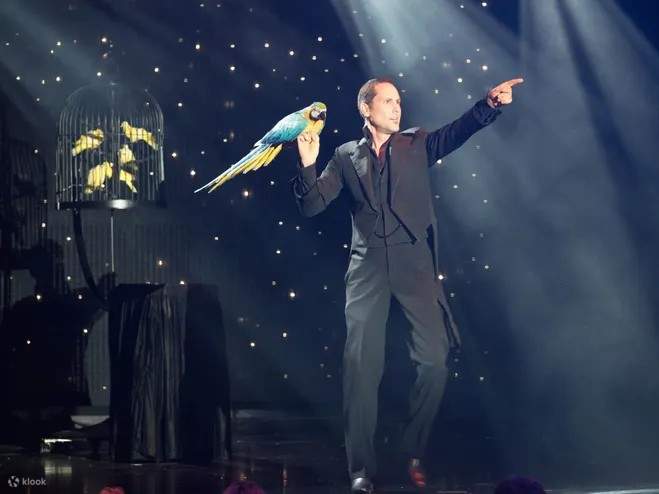 Be amazed as the birds take flight in this spectacular performance