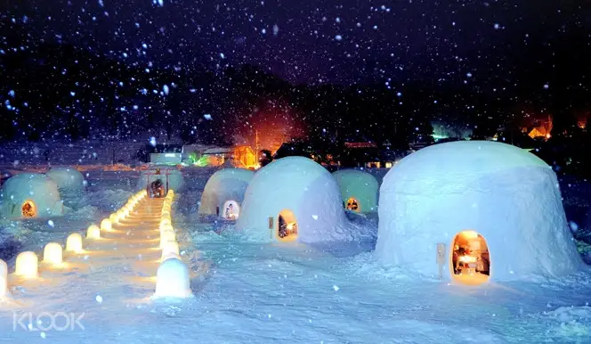 Yunishigawa Igloo Festival Winter Flower Basket Lunch And Strawberry Picking Day Trip From Tokyo Yunishigawa Igloo Festival Winter Flower Basket Lunch And Strawberry Picking Day Trip From Tokyo