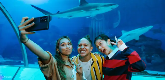 selfie at SEA Aquarium Singapore