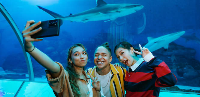 selfie at SEA Aquarium Singapore