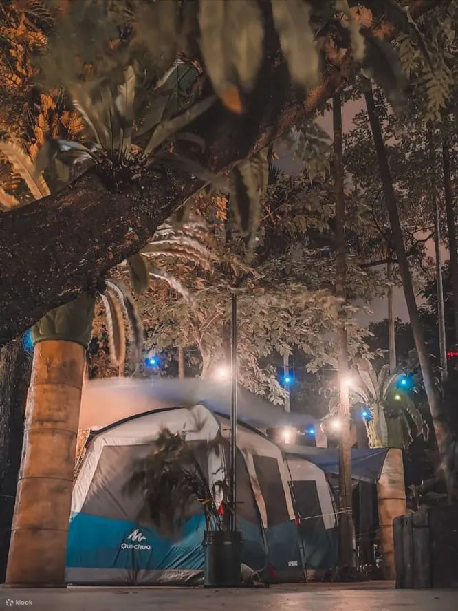 夜晚灯火露营