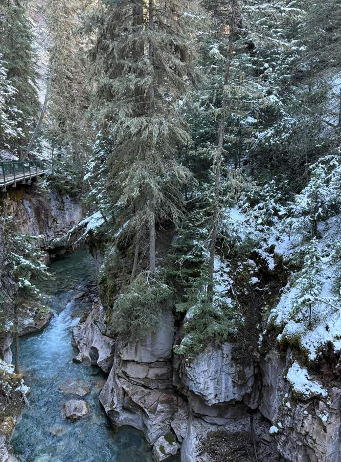 Winter Tour Banff Town, Johnston Canyon and Marble Canyon Icewalk - Klook