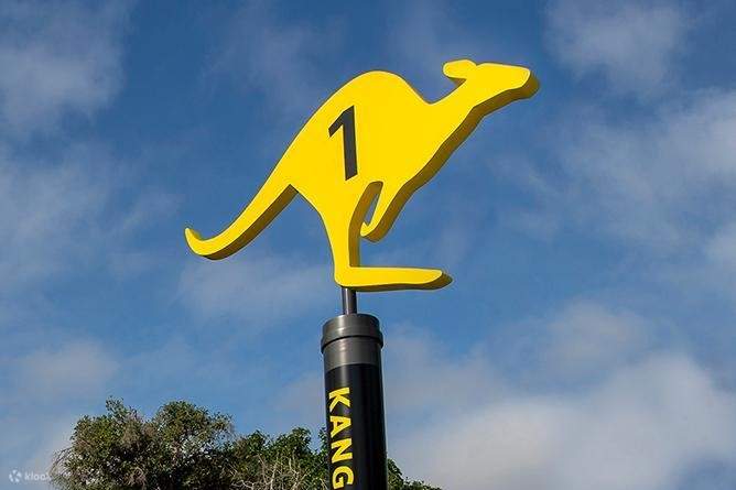 圣地牙哥动物园 - 袋鼠巴士