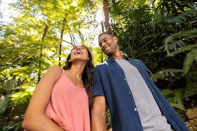 圣地牙哥动物园 - 植物园之旅