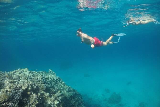 ラスモハメド島・ホワイト島 シュノーケリング・ダイビング体験（シャルムエルシェイク / VIPボート利用）