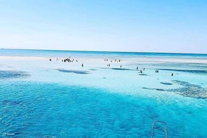 ラスモハメド島・ホワイト島 シュノーケリング・ダイビング体験（シャルムエルシェイク / VIPボート利用）