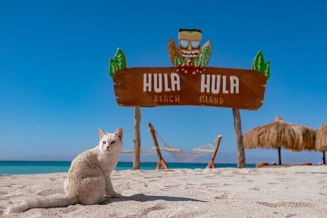 Hurghada: Hula Hula Island Tour – Morning or Sunset Trip