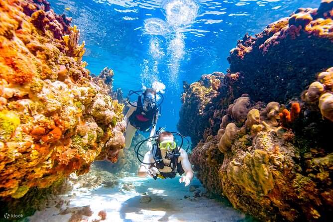 ラスモハメド島・ホワイト島 シュノーケリング・ダイビング体験（シャルムエルシェイク / VIPボート利用）