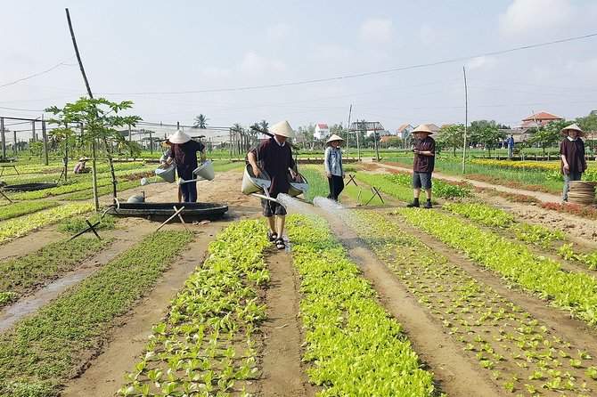 Посетите органическую ферму Tra Que, утопающую в пышной растительности и цветущих цветах.