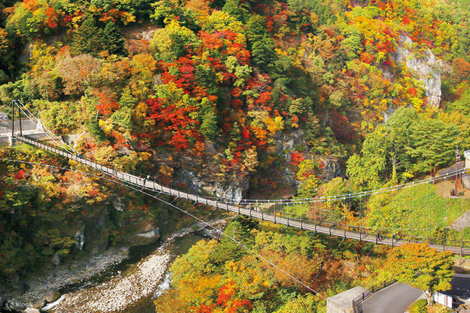 Kinu River Rafting & EDO WONDERLAND Nikko Edo Village/Hot Springs 1-Day ...