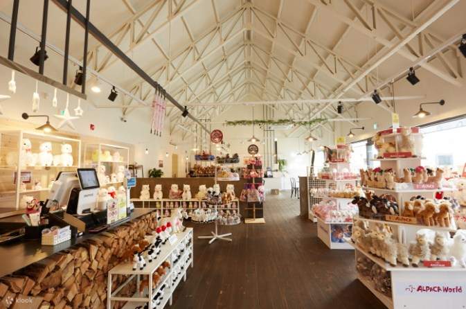 南怡島・プチフランス・イタリア村 バン乗車チケット（ソウル発）