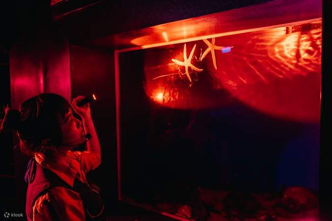 Notturno all'Acquario