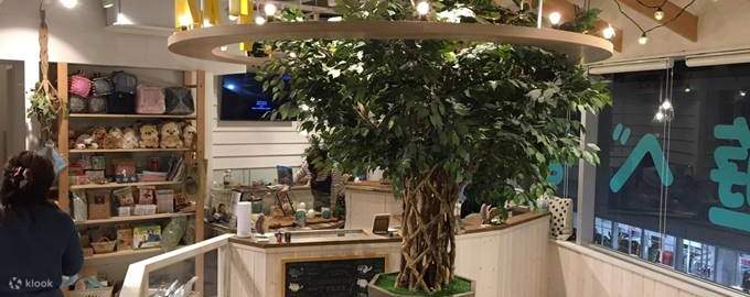 Chinchilla Otter And Hedgehog Cafe In Tokyo Klook
