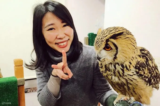 猫头鹰咖啡馆