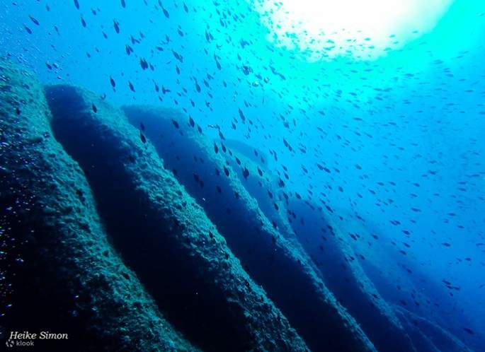 Svela i segreti dell'immersione Nitrox nello splendido scenario di Villasimius con il nostro corso completo, aprendo nuove possibilità sotto le onde.
