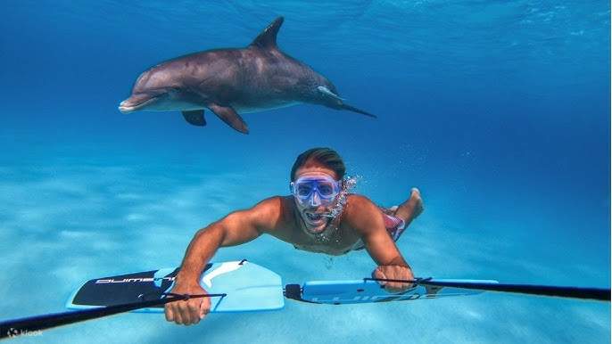 Water Ski and Sub Wing Adventure with Private Transfer - Hurghada