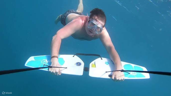 水上スキー＆サブウィング体験（専用車送迎付き）－フルガダ