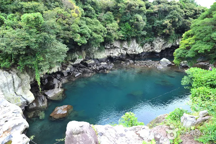 牛沼河口