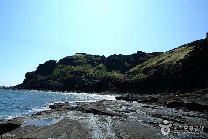 济州游轮旅行者包车私人出租车之旅