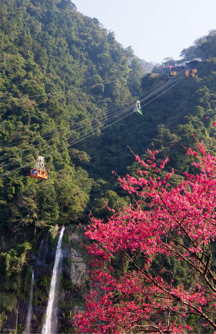 Isang araw na pamamasyal sa Wulai Mountain Forest Hot Spring: Waterfall ...