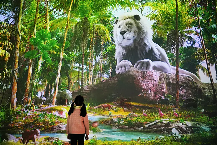 首先映入眼帘的“大森林”是描绘土地的空间，是包含压倒性影像制作和利用动物百科全书进行教育效果的标志性空间。