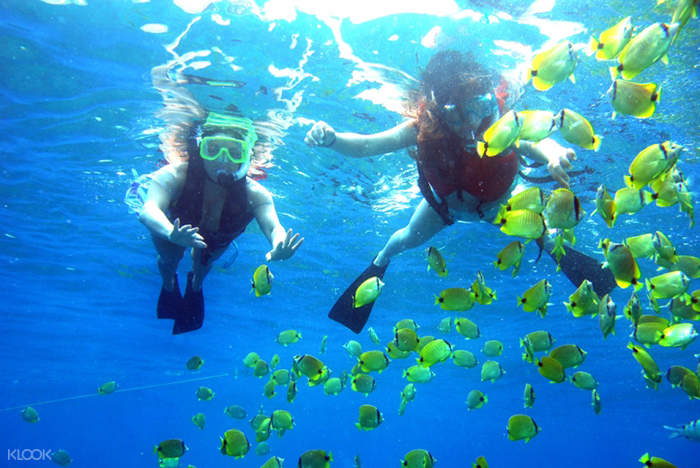 Up To 15 Off Pulau Payar Snorkeling Diving Adventures From Langkawi Klook Singapore