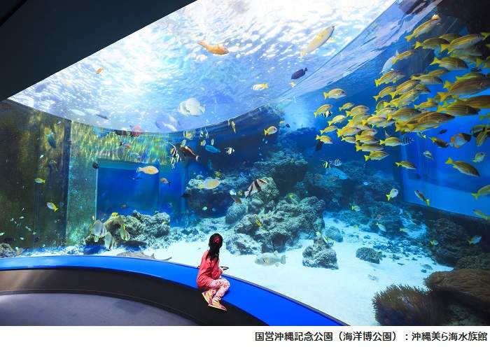 Okinawa Churaumi Aquarium.