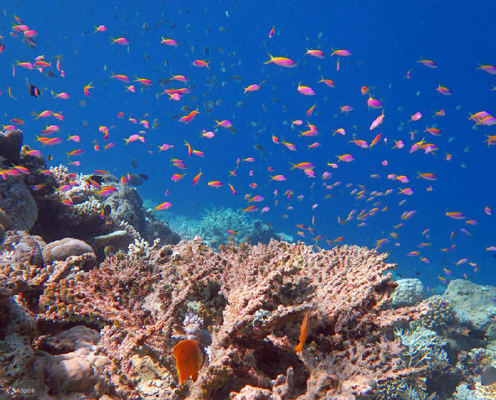 Stunning sea caves waiting to be explored by divers.