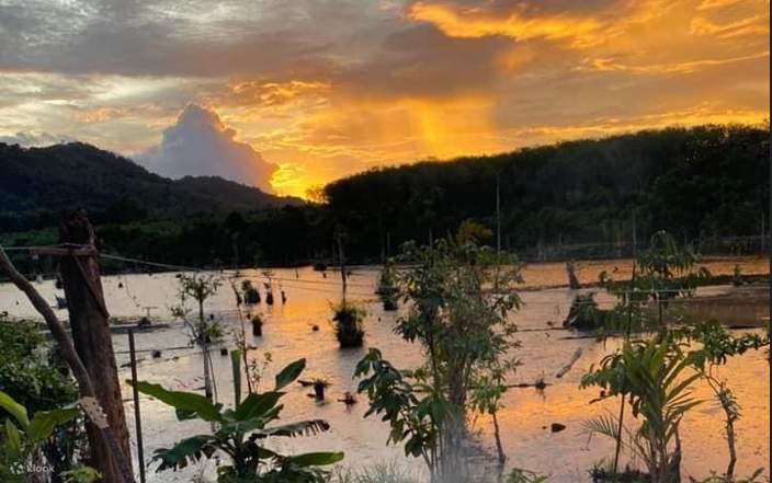 Khung cảnh bầu trời tuyệt đẹp trong ngày tại Klong Nam Sai hay Klong Root