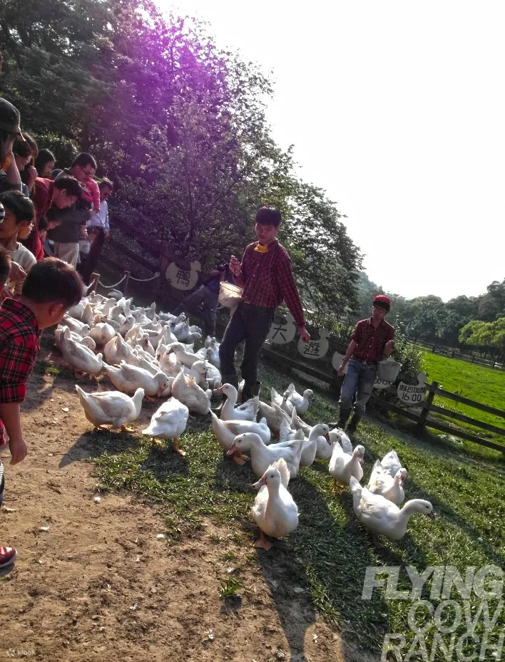 Miaoli Flying Cow Ranch Tickets