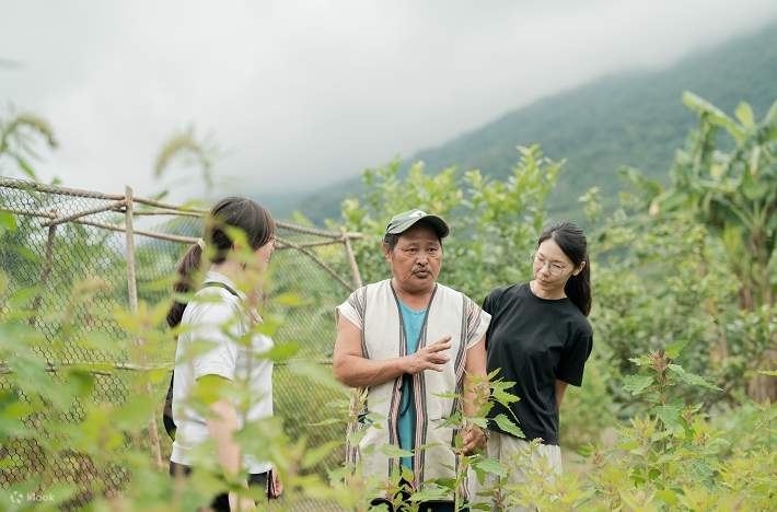 Recorrido de plantas autóctonas