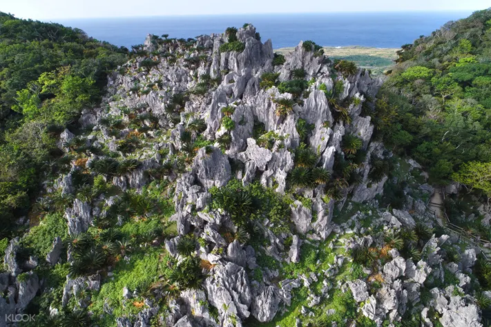 Yambaru National Park Daisekirinzan Ticket In Okinawa Klook