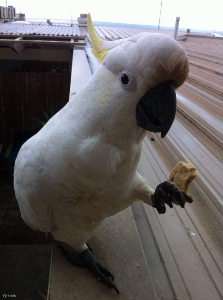 Weinproben Yarra Valley Touren ab Melbourne