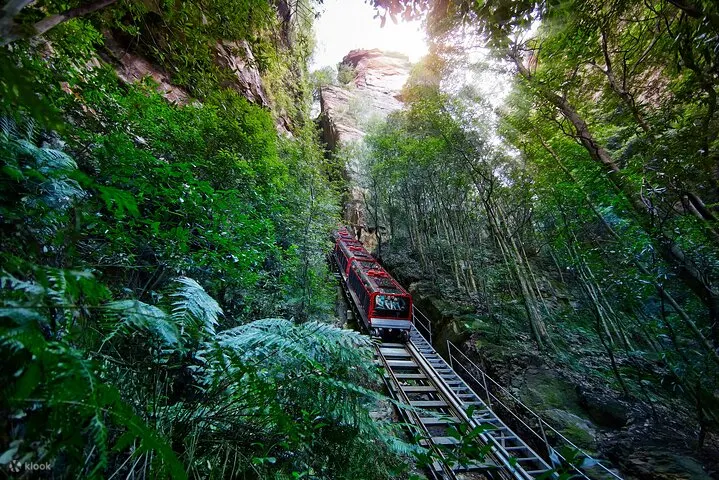 雪梨藍山景觀世界森林纜車