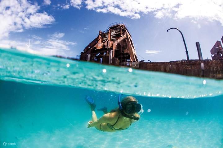 Scuba Diving Experience in Moreton Island - Klook United Kingdom