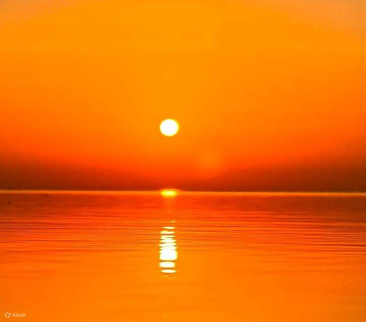 Marsa Alam - Tour đêm nhà cá heo Sataya 