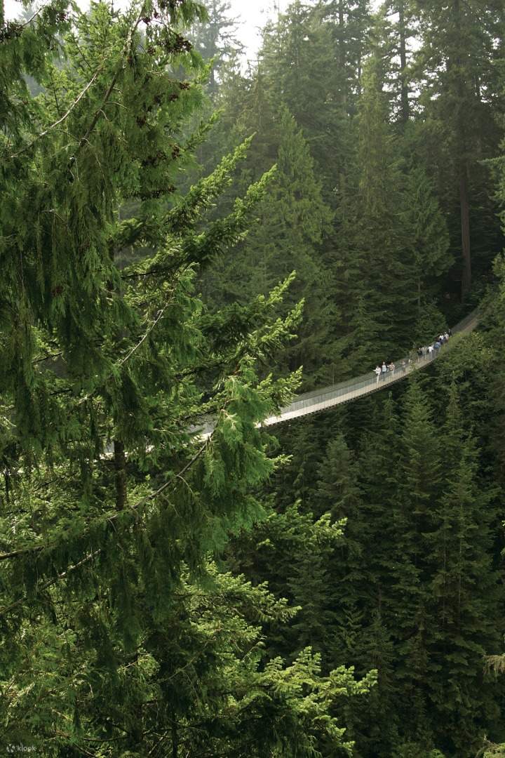 Capilano Suspension Bridge Park Ticket in Vancouver Klook Canada