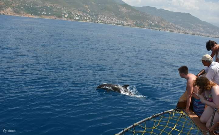 含午餐和软饮的全包双体船游艇之旅