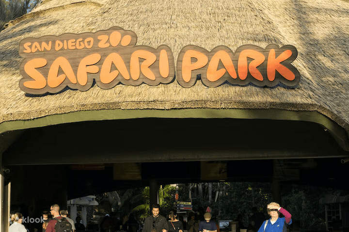 San Diego Zoo Safari Park Admission Ticket - Klook