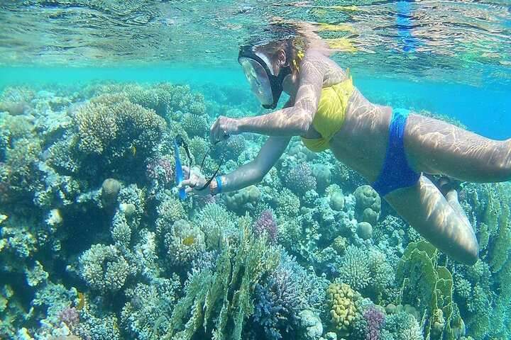 snorkeling-con-le-tartarughe-nella-spiaggia-di-abu-dabbab